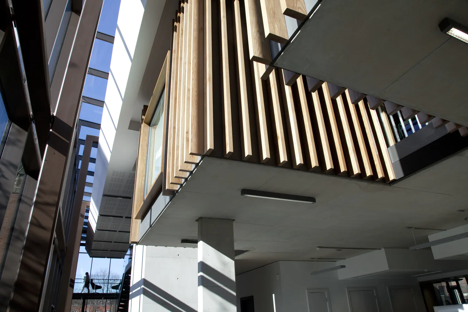 TTH_030413_0046
